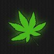 Drug leaf
