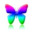 colored butterfly
