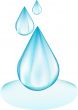 Water drops - vector