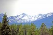 Rockies