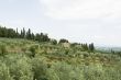 Romantic Italian landscape