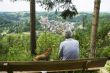 Man and dog at viewpoint