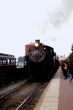 Arriving Train