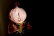 sliced onion