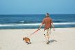 walking-the-dog