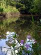 Saw Branch Creek