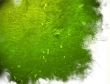 Great for textures and backgrounds