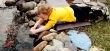 Petting Fish