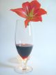 Red Wine