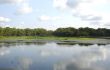 Landscape with the lake