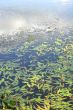Water background