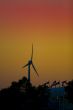 wind mill