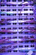 network cables & hubs