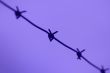 Barb wire