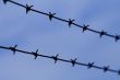 Barb wire