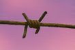 Barb wire