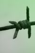 Barb wire