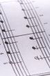 Music Notes