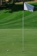 Golf Green
