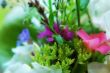 bunch of flowers