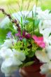 bunch of flowers