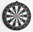 The dartboard on the wall