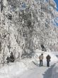 Winter in Austria