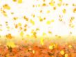 Orange leaves falling down