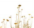 floral style textures