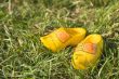 Dutch wooden shoes
