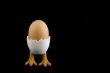 Birdfeet with egg