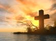 holy cross