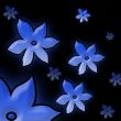 Background with flowers