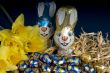chocolate easter eggs