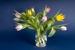 vase with tulips