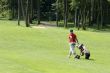 Golf-walker