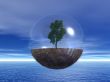 the last tree
