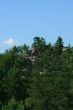 Clouds and pines