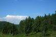 Clouds and pines