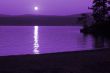 violet sunset