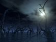 dead trees