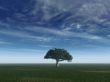 peaceful