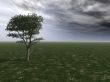 before the storm