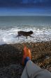 Walking the dog