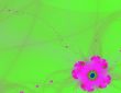 Violet Flower