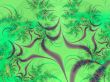 Grape vine