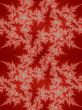 Christmas Trees