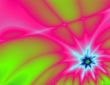 Flower with copy space