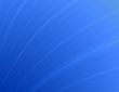 Blue flower