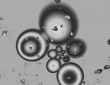 bubbles